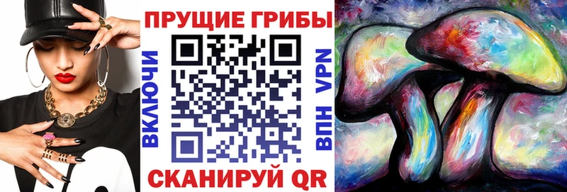 Галлюциногенные грибы мицелий  где можно купить   Киржач 